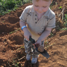 Potato Education at Great Country Farms for Home school and general admission guests.