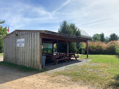 The Sunflower Hut birthday party and corporate picnic venue is a private covered barn located just behind the farm market at Great Country Farms in northern Virginia.