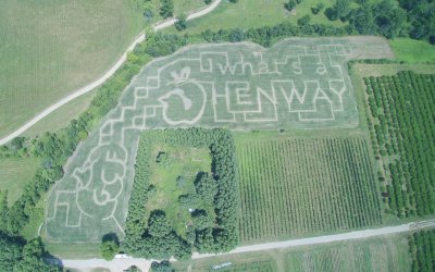 What's Henway? is the featured question in the Great. Country Farms 2020 Corn Maze design which is all about apples and hard cider