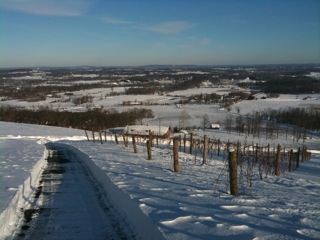 Bluemont Vineyard View with a snowy covering