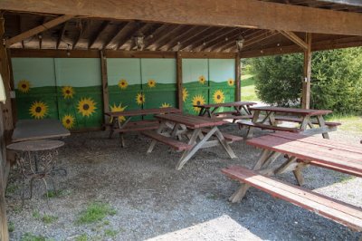 The Sunflower Hut company picnic venue at Great Country Farms is outfitted with wooden picnic tables and sunflowers painted on the interior wall