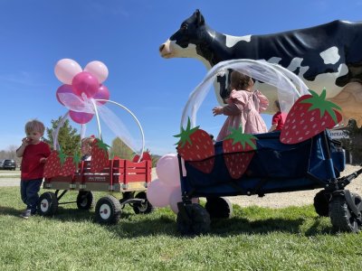 Two decorated wagons ready to enter the 'Lil Sprout Strawberry Float Parade at the Great Country Farms Strawberry Festival