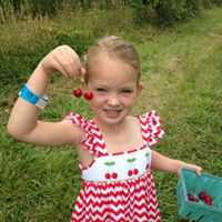a young girl in a stripped cherry sun dress proudly holds up her pick your own cherries at Great Country Farms